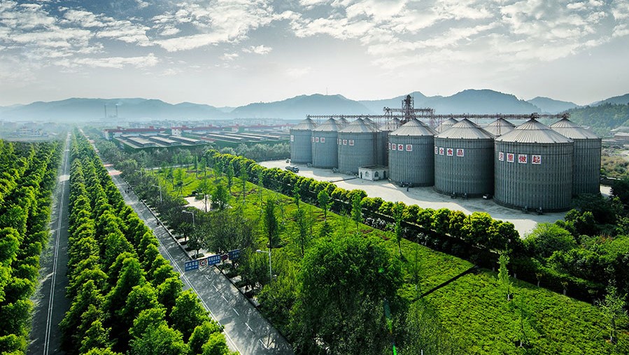 喜讯 | 中国海诚中标舍得酒业黄沙及永和智能酿造区设计项目